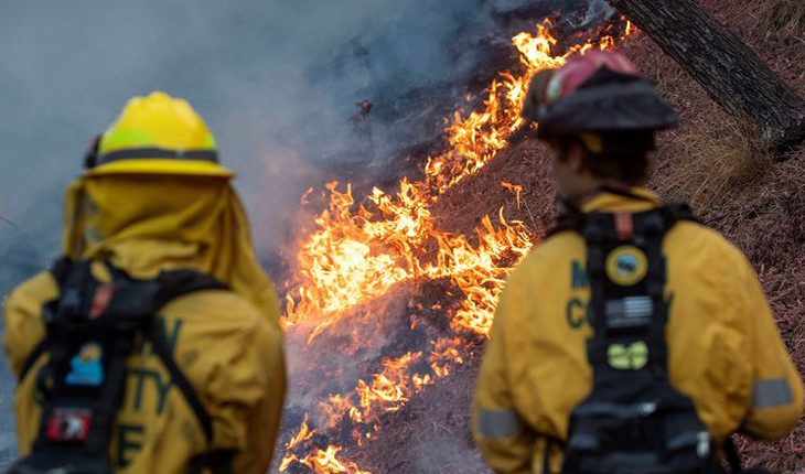 Los Angeles Fires